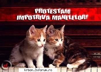 Cele mai tari Poze - pussycat_07 - Diverse Poze
